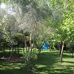 Dalos