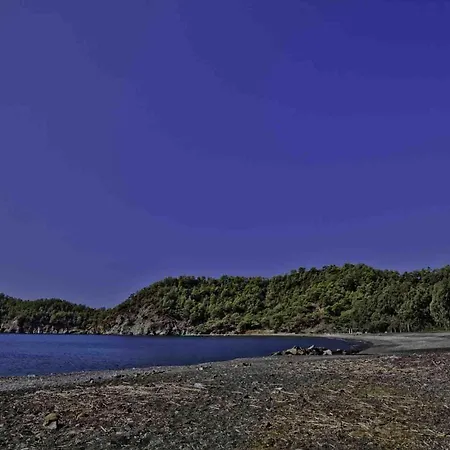호텔 Dalos