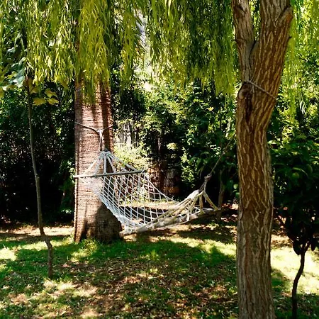 Dalos Gocek (Fethiye)