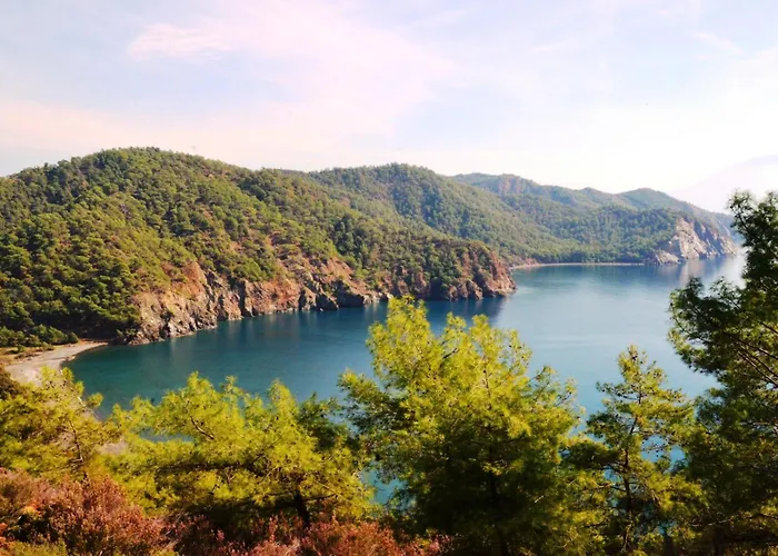 Dalos 2* ギョジェク