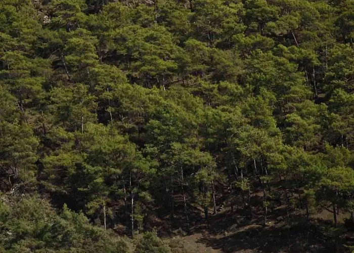 ホテル Dalos ギョジェク