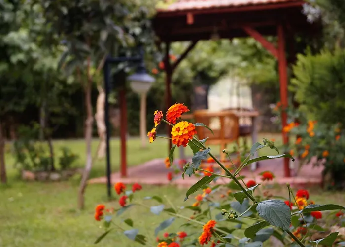 Dalos ギョジェク