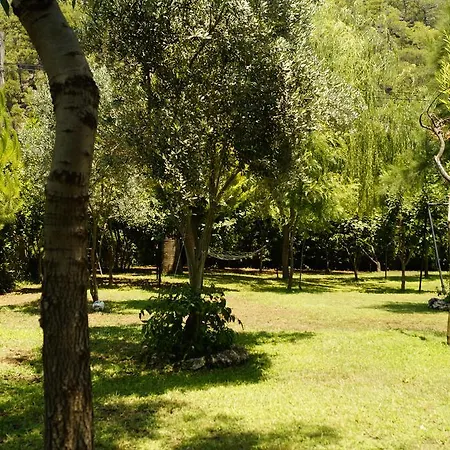 Otel Dalos 2*