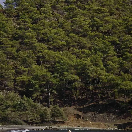 Hotel Dalos Gocek (Fethiye)